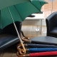 Regenschirme - das großformatige Original von Swayne Adeney Brigg in verschiedenen Farben